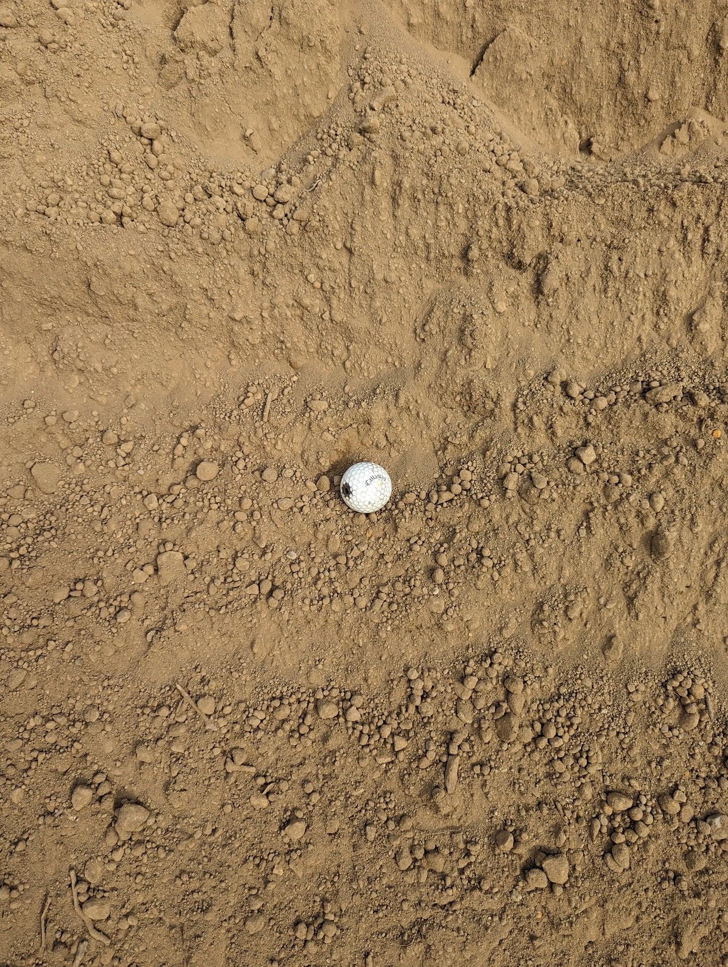 Screened Top Soil